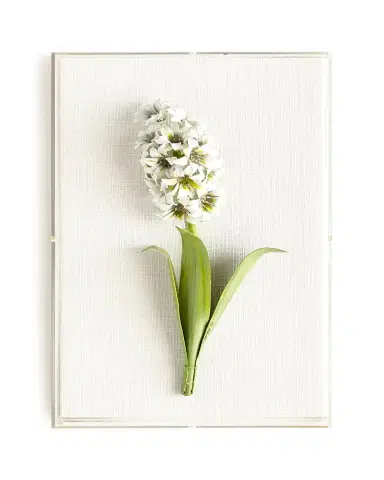 Tommy Mitchell Original Painted Hyacinth Study | Thumbnail 2 Tommy Mitchell Original Painted Hyacinth Study | Thumbnail 2