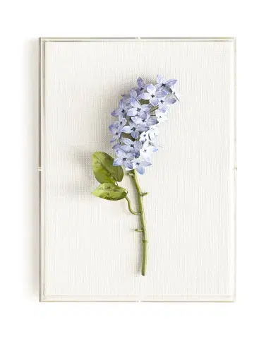 Tommy Mitchell Original Painted Lilac Study | Thumbnail 2 Tommy Mitchell Original Painted Lilac Study | Thumbnail 2