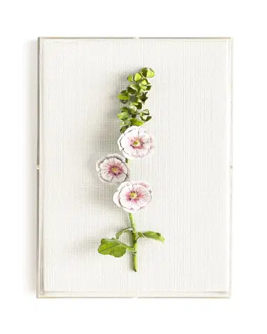 Tommy Mitchell Original Painted Hollyhock Study | Thumbnail 2 Tommy Mitchell Original Painted Hollyhock Study | Thumbnail 2
