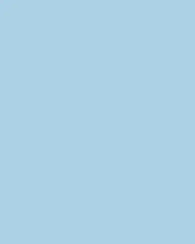Tommy Mitchell Original Painted Forget-Me-Not Study | Thumbnail 3 Tommy Mitchell Original Painted Forget-Me-Not Study | Thumbnail 3