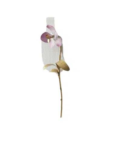 Tommy Mitchell "Gilded and Painted Orchid Study 6" Wall Decor | Thumbnail 1 Tommy Mitchell "Gilded and Painted Orchid Study 6" Wall Decor | Thumbnail 1