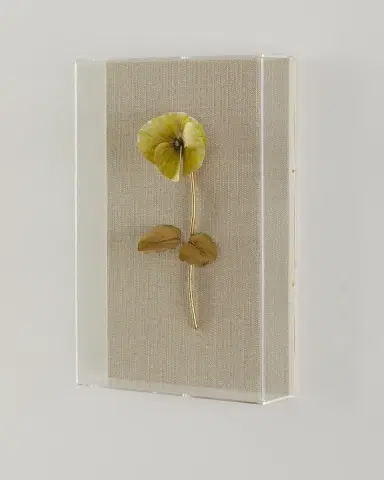 Tommy Mitchell "Pansy Study 2" Wall Art | Thumbnail 2 Tommy Mitchell "Pansy Study 2" Wall Art | Thumbnail 2