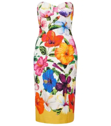 Dolce & Gabbana Floral bustier dress | Thumbnail 1 Dolce & Gabbana Floral bustier dress | Thumbnail 1