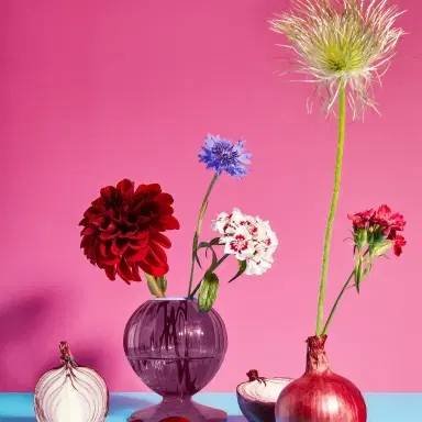 La DoubleJ Onion Vase | Thumbnail 4 La DoubleJ Onion Vase | Thumbnail 4