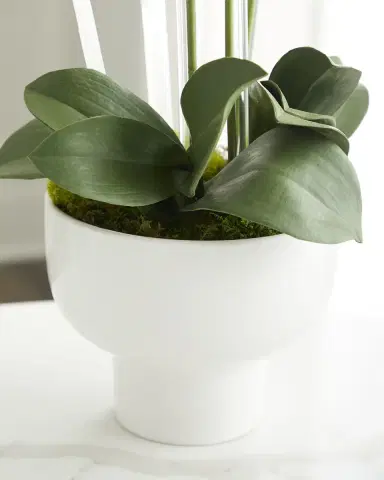 T & C Floral Company Triple Orchid Faux Florals in White Ceramic Pot with Selenite - 23" | Thumbnail 3 T & C Floral Company Triple Orchid Faux Florals in White Ceramic Pot with Selenite - 23" | Thumbnail 3