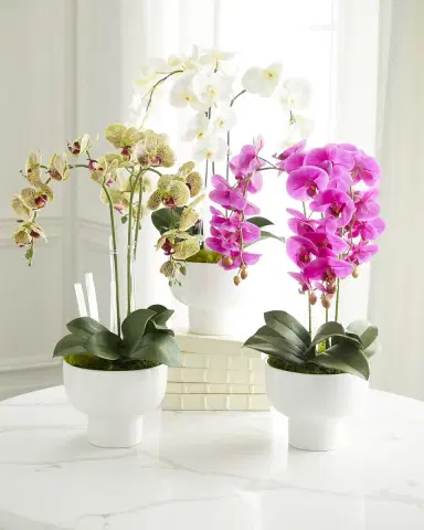 T & C Floral Company Triple Orchid Faux Florals in White Ceramic Pot with Selenite - 23" | Thumbnail 4 T & C Floral Company Triple Orchid Faux Florals in White Ceramic Pot with Selenite - 23" | Thumbnail 4