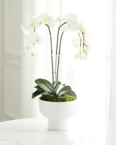 T & C Floral Company Triple Orchid Faux Florals in White Ceramic Pot with Selenite - 23" | Thumbnail 1 T & C Floral Company Triple Orchid Faux Florals in White Ceramic Pot with Selenite - 23" | Thumbnail 1