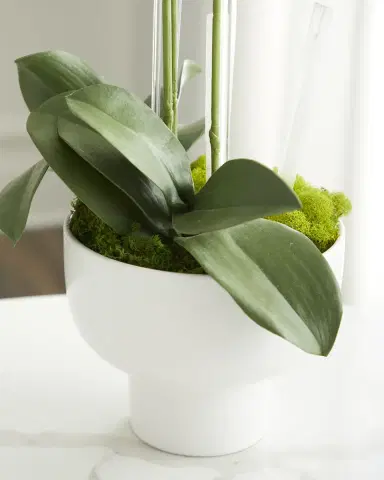 T & C Floral Company Triple Orchid Faux Florals in White Ceramic Pot with Selenite - 23" | Thumbnail 3 T & C Floral Company Triple Orchid Faux Florals in White Ceramic Pot with Selenite - 23" | Thumbnail 3