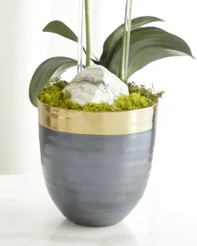 T & C Floral Company Double Orchid Faux Florals in Gold-Rimmed Ceramic Pot with Zebra Stone - 22" | Thumbnail 3 T & C Floral Company Double Orchid Faux Florals in Gold-Rimmed Ceramic Pot with Zebra Stone - 22" | Thumbnail 3