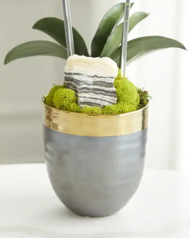 T & C Floral Company Double Orchid Faux Florals in Gold-Rimmed Ceramic Pot with Zebra Stone - 22" | Thumbnail 3 T & C Floral Company Double Orchid Faux Florals in Gold-Rimmed Ceramic Pot with Zebra Stone - 22" | Thumbnail 3