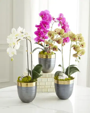 T & C Floral Company Double Orchid Faux Florals in Gold-Rimmed Ceramic Pot with Zebra Stone - 22" | Thumbnail 4 T & C Floral Company Double Orchid Faux Florals in Gold-Rimmed Ceramic Pot with Zebra Stone - 22" | Thumbnail 4