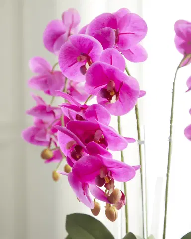T & C Floral Company Triple Orchid Faux Florals in White Ceramic Pot with Selenite - 23" | Thumbnail 3 T & C Floral Company Triple Orchid Faux Florals in White Ceramic Pot with Selenite - 23" | Thumbnail 3