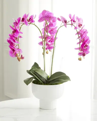 T & C Floral Company Triple Orchid Faux Florals in White Ceramic Pot with Selenite - 23" | Thumbnail 1 T & C Floral Company Triple Orchid Faux Florals in White Ceramic Pot with Selenite - 23" | Thumbnail 1