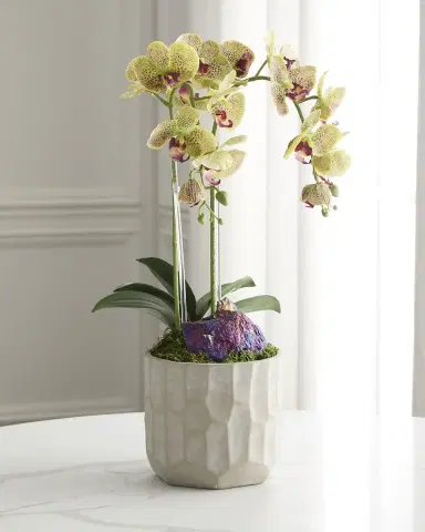 T & C Floral Company Double Orchid with Peacock Ore 22" Faux Floral Arrangement in Concrete Pot | Thumbnail 2 T & C Floral Company Double Orchid with Peacock Ore 22" Faux Floral Arrangement in Concrete Pot | Thumbnail 2