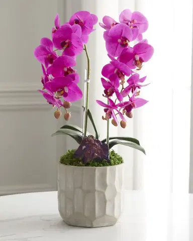 T & C Floral Company Double Orchid with Peacock Ore 22" Faux Floral Arrangement in Concrete Pot | Thumbnail 2 T & C Floral Company Double Orchid with Peacock Ore 22" Faux Floral Arrangement in Concrete Pot | Thumbnail 2