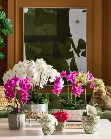 T & C Floral Company Double Orchid with Peacock Ore 22" Faux Floral Arrangement in Concrete Pot | Thumbnail 5 T & C Floral Company Double Orchid with Peacock Ore 22" Faux Floral Arrangement in Concrete Pot | Thumbnail 5