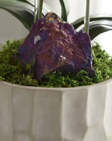 T & C Floral Company Double Orchid with Peacock Ore 22" Faux Floral Arrangement in Concrete Pot | Thumbnail 7 T & C Floral Company Double Orchid with Peacock Ore 22" Faux Floral Arrangement in Concrete Pot | Thumbnail 7