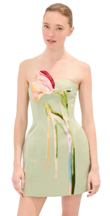 Leo Lin Roselle Bustier Mini Dress Tulip Print in Green | Thumbnail 1 Leo Lin Roselle Bustier Mini Dress Tulip Print in Green | Thumbnail 1
