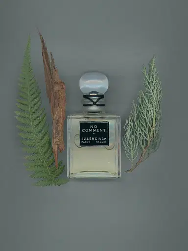 Balenciaga No Comment Parfum 3.4 oz | Thumbnail 6 Balenciaga No Comment Parfum 3.4 oz | Thumbnail 6