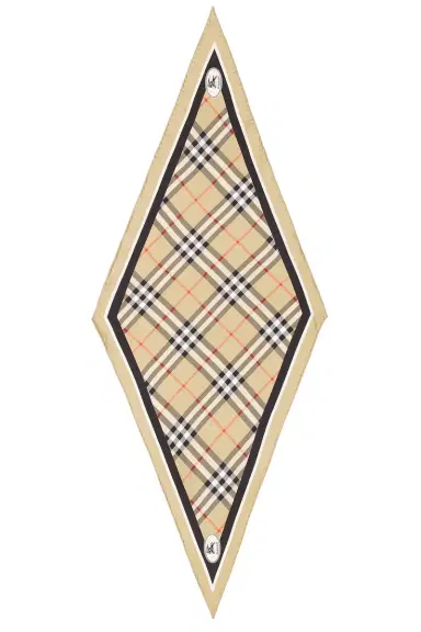 Burberry Knight Stamp Scarf | Thumbnail 2 Burberry Knight Stamp Scarf | Thumbnail 2