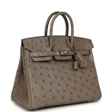 HERMÈS Hermes Birkin 25 Mousse Ostrich Boreal Palladium Hardware | Thumbnail 2 HERMÈS Hermes Birkin 25 Mousse Ostrich Boreal Palladium Hardware | Thumbnail 2
