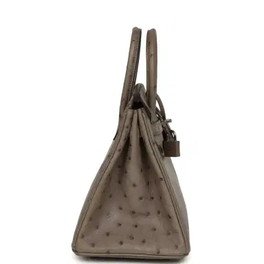 HERMÈS Hermes Birkin 25 Mousse Ostrich Boreal Palladium Hardware | Thumbnail 3 HERMÈS Hermes Birkin 25 Mousse Ostrich Boreal Palladium Hardware | Thumbnail 3