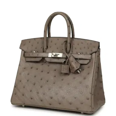 HERMÈS Hermes Birkin 25 Mousse Ostrich Boreal Palladium Hardware | Thumbnail 5 HERMÈS Hermes Birkin 25 Mousse Ostrich Boreal Palladium Hardware | Thumbnail 5