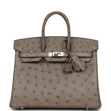 HERMÈS Hermes Birkin 25 Mousse Ostrich Boreal Palladium Hardware | Thumbnail 1 HERMÈS Hermes Birkin 25 Mousse Ostrich Boreal Palladium Hardware | Thumbnail 1