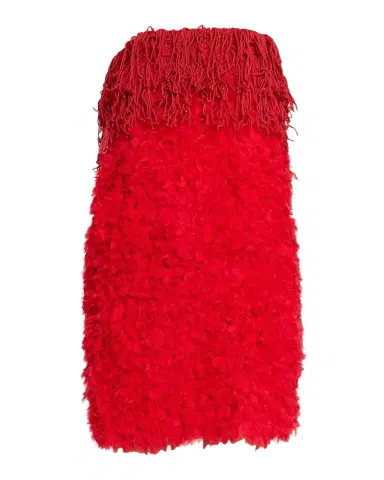 Diotima Bambola Strapless Fringe Textured Tulle Mini Dress | Thumbnail 1 Diotima Bambola Strapless Fringe Textured Tulle Mini Dress | Thumbnail 1