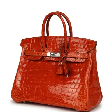 HERMÈS Vintage Hermes Birkin 25 Orange Shiny Niloticus Crocodile Palladium Hardware | Thumbnail 5 HERMÈS Vintage Hermes Birkin 25 Orange Shiny Niloticus Crocodile Palladium Hardware | Thumbnail 5