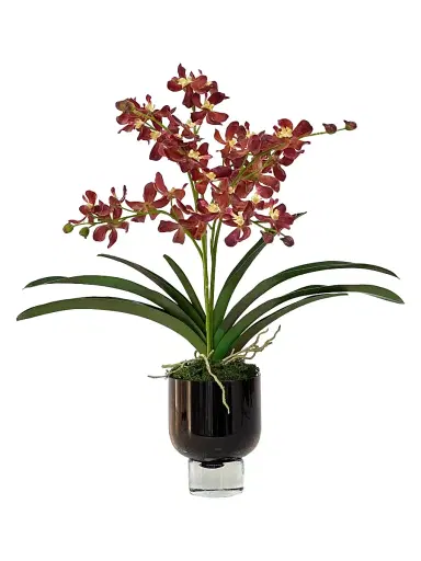 Winward Home Everyday Newness Refresh Imitation Vanda Lamellata Orchid In Glass Vase | Thumbnail 1 Winward Home Everyday Newness Refresh Imitation Vanda Lamellata Orchid In Glass Vase | Thumbnail 1