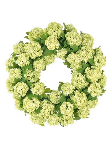 Winward Home Everyday Newness Refresh Imitation Snowball Viburnum Wreath | Thumbnail 1 Winward Home Everyday Newness Refresh Imitation Snowball Viburnum Wreath | Thumbnail 1