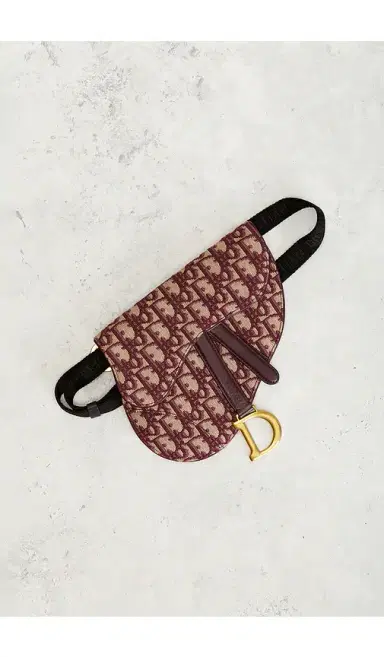 dior Dior Saddle Belt Bag | Thumbnail 10 dior Dior Saddle Belt Bag | Thumbnail 10