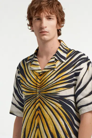 Roberto Cavalli Ray of Gold print T-shirt | Thumbnail 5 Roberto Cavalli Ray of Gold print T-shirt | Thumbnail 5