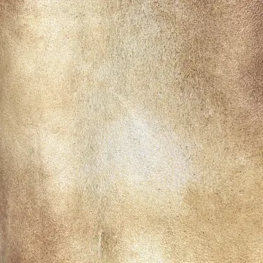 Roberto Cavalli Gold Laminated Leather Skirt | Thumbnail 4 Roberto Cavalli Gold Laminated Leather Skirt | Thumbnail 4
