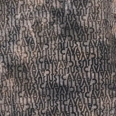 Roberto Cavalli Faded Effect Trousers With All-Over Lettering | Thumbnail 4 Roberto Cavalli Faded Effect Trousers With All-Over Lettering | Thumbnail 4