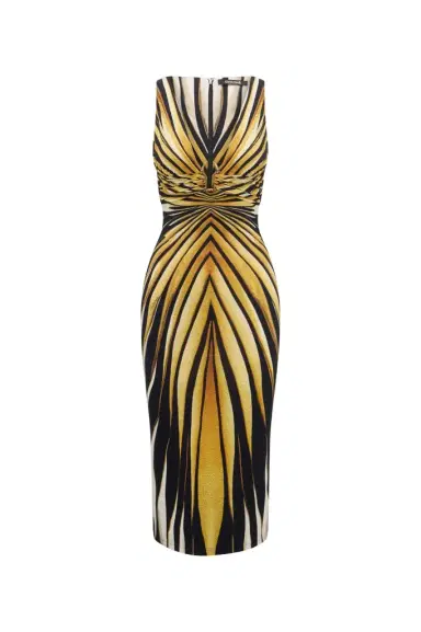Roberto Cavalli Ray Of Gold Print Dress Midi | Thumbnail 1 Roberto Cavalli Ray Of Gold Print Dress Midi | Thumbnail 1