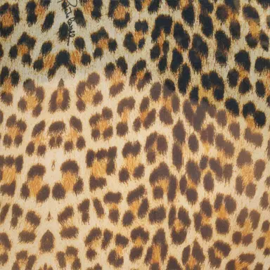 Roberto Cavalli Baby Jaguar Print Silk Kaftan | Thumbnail 4 Roberto Cavalli Baby Jaguar Print Silk Kaftan | Thumbnail 4