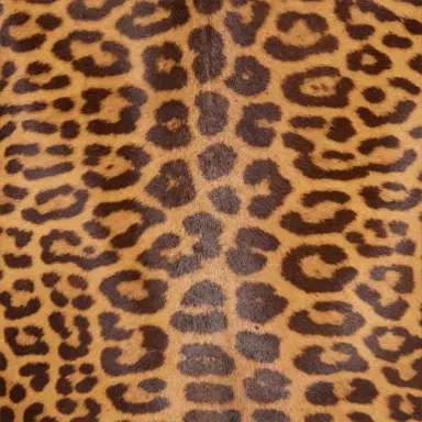 Roberto Cavalli Leather Jacket With Leopard Skin Print | Thumbnail 4 Roberto Cavalli Leather Jacket With Leopard Skin Print | Thumbnail 4