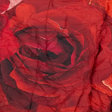 Roberto Cavalli Long Crinkle-Effect Trench Coat With Rose Print | Thumbnail 4 Roberto Cavalli Long Crinkle-Effect Trench Coat With Rose Print | Thumbnail 4