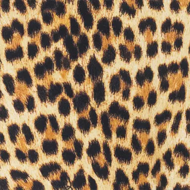 Roberto Cavalli Baby Jaguar Print One-Piece Swimsuit | Thumbnail 4 Roberto Cavalli Baby Jaguar Print One-Piece Swimsuit | Thumbnail 4