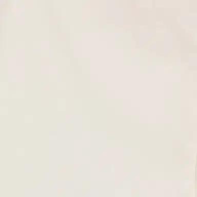 Roberto Cavalli Shirt With Shirt Front And RC Monogram | Thumbnail 3 Roberto Cavalli Shirt With Shirt Front And RC Monogram | Thumbnail 3