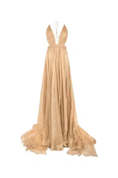 Roberto Cavalli Gold Silk Maxi Dress | Thumbnail 1 Roberto Cavalli Gold Silk Maxi Dress | Thumbnail 1