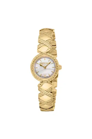 Roberto Cavalli Roberto Cavalli by Franck Muller Snake Core watch | Thumbnail 1 Roberto Cavalli Roberto Cavalli by Franck Muller Snake Core watch | Thumbnail 1