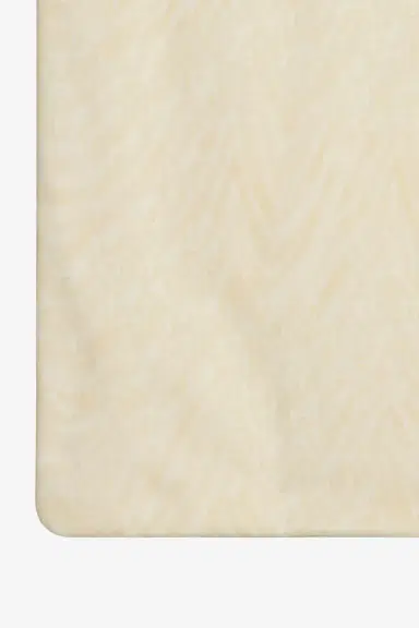 Roberto Cavalli Monogram Zebra Print Blanket | Thumbnail 4 Roberto Cavalli Monogram Zebra Print Blanket | Thumbnail 4
