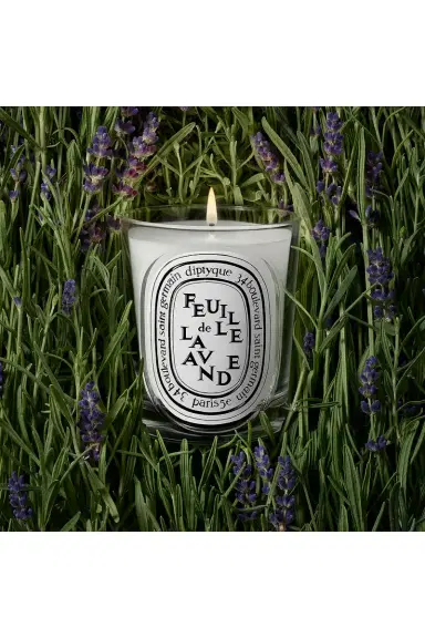 Diptyque Feuille De Lavande Classic Candle | Thumbnail 2 Diptyque Feuille De Lavande Classic Candle | Thumbnail 2