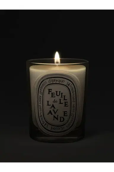 Diptyque Feuille De Lavande Classic Candle | Thumbnail 3 Diptyque Feuille De Lavande Classic Candle | Thumbnail 3