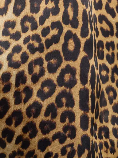 Alberta Ferretti Women's Leopard-Print Silk Short-Sleeve Blouse | Thumbnail 7 Alberta Ferretti Women's Leopard-Print Silk Short-Sleeve Blouse | Thumbnail 7