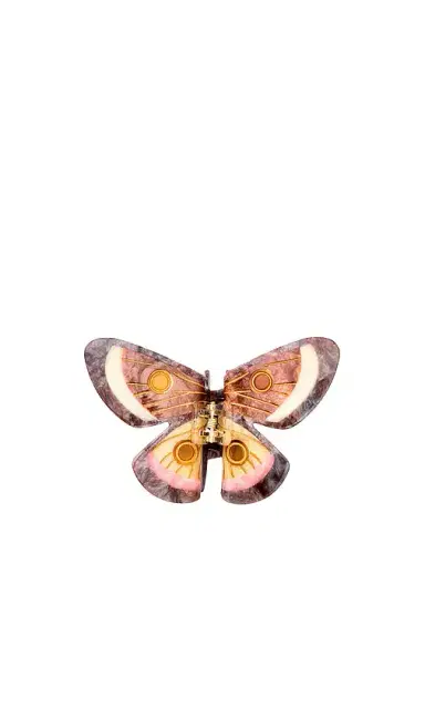 Solar Eclipse Hand-painted Emperor Silk Moth Claw Hair Clip | Thumbnail 1 Solar Eclipse Hand-painted Emperor Silk Moth Claw Hair Clip | Thumbnail 1