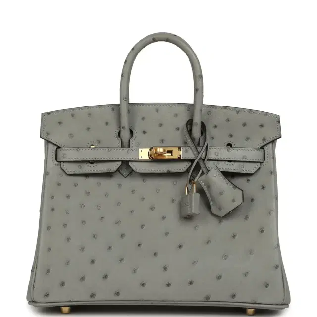 Hermes Birkin 25 Bleu Glacier Ostrich Gold Hardware Hermes Birkin 25 Bleu Glacier Ostrich Gold Hardware